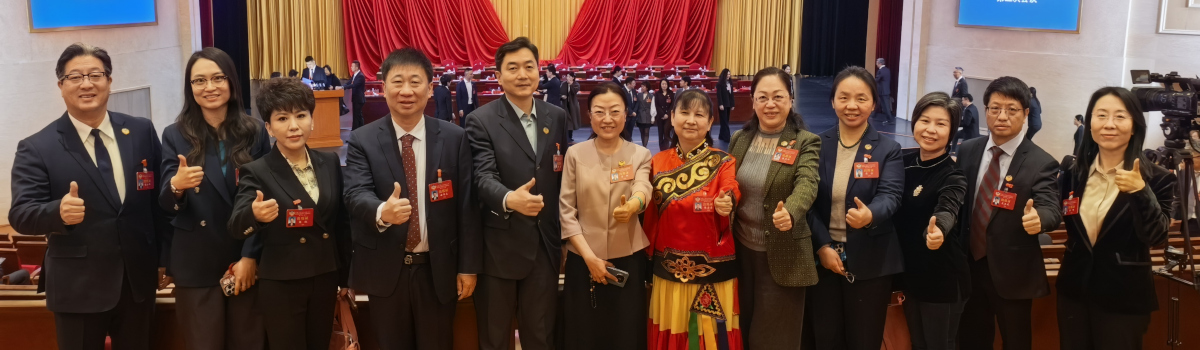 民盟东城区委在东城区政协十五届五次会议上做大会发言