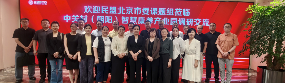 民盟北京市委围绕养老事业与产业协同发展开展深入调研